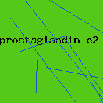 prostaglandin e2
